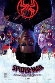 Spider-Man : Across the Spider-Verse